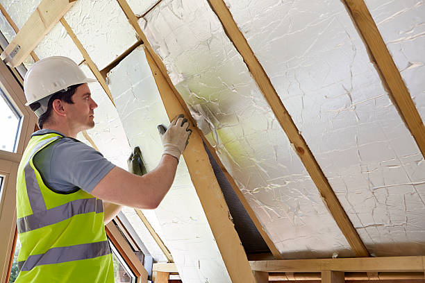 Best Insulation Maintenance and Repair in Saxapahaw, NC